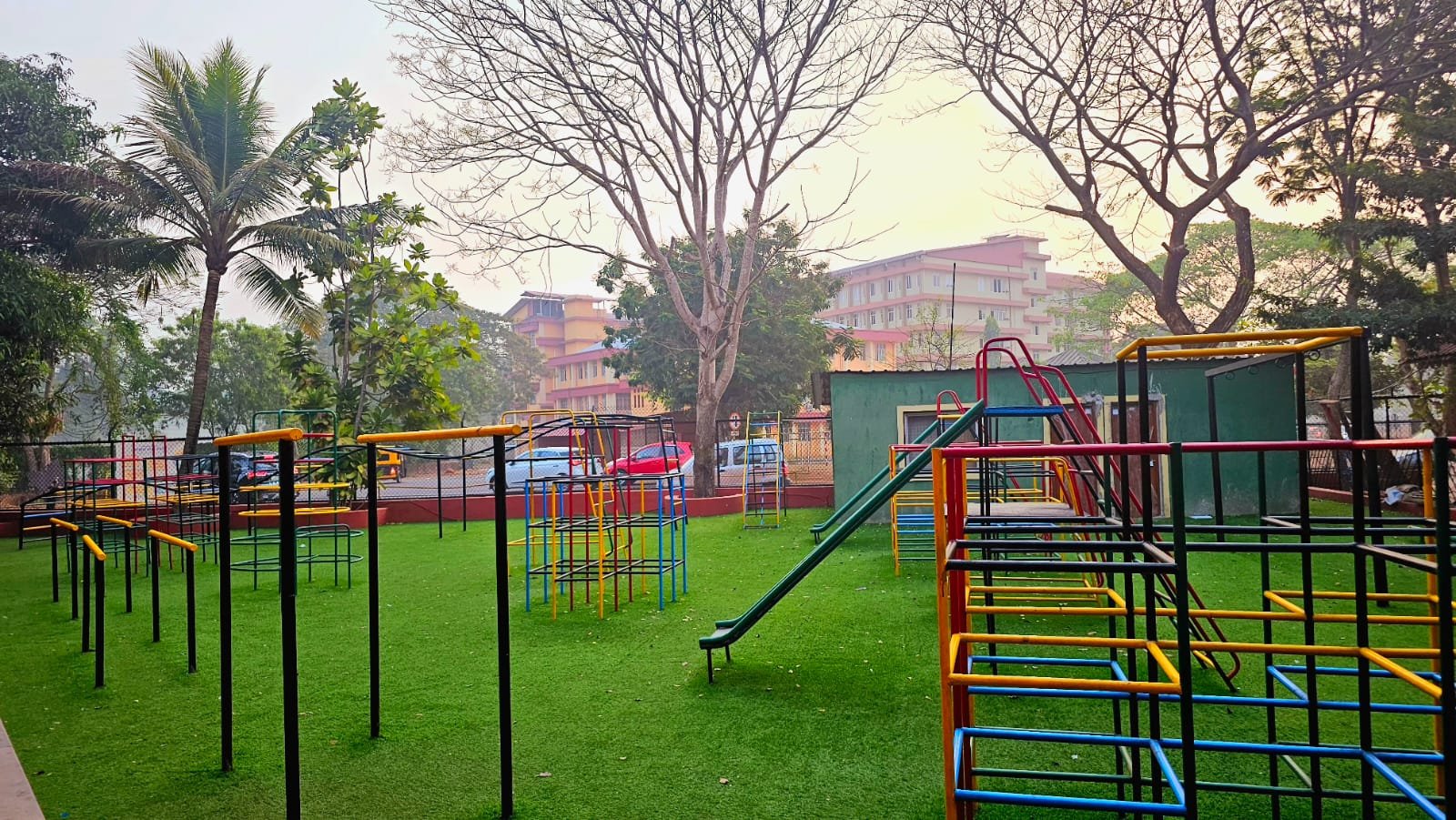 Jungle Gym